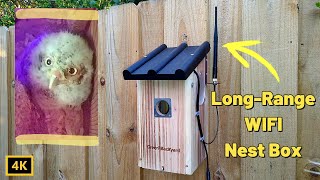 Green Backyard Long-Range WIFI Bird Nest box Camera Review Setup and Streaming Demo