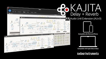 Kajita - Delay + Reverb - AUv3 Plugin Effect