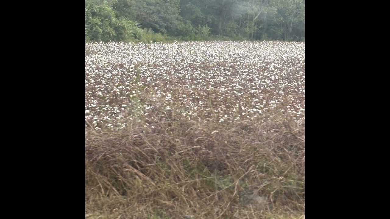 I live and breathe this Philadelphia Freedom