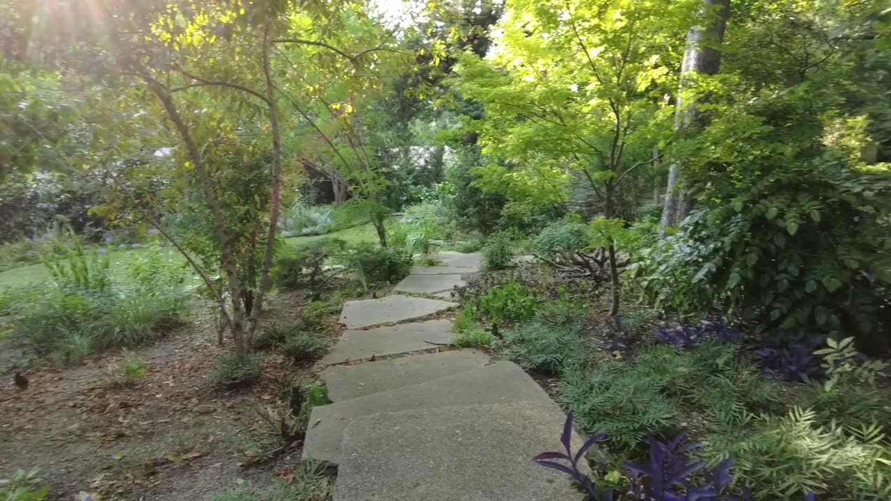 Oak Cliff garden oasis.
