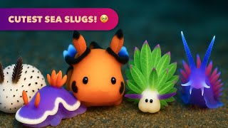 Top 5 CUTEST Sea Slugs! Sea Bunny, Leaf Sheep, Pikachu Sea Slug & More!