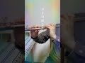 フルート最強カバー「回る空うさぎ」