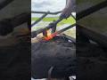 “Forging a Nail Puller 🔥”