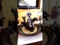 5 Headed Dragon Incense Burner