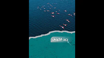 القارئ رعد الكردي لمن الملك اليوم لله الواحد القه ار 