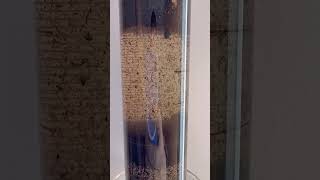 Cose che cadono nell’acqua… #esperimento #terreno #suolo