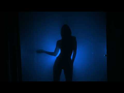 Poly Fiction - Sauvages (Vera Brothers Remix)