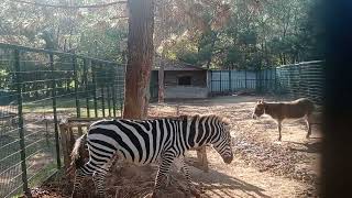 çatalca hayvanat bahçesi