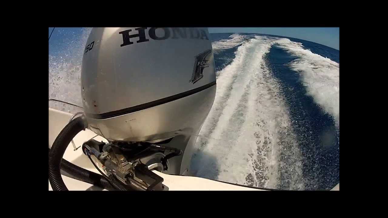 Sunshine Coast Spearfishing Summer. YouTube