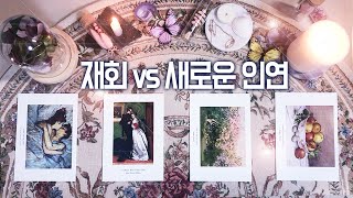 [타로, 꽃들에게] 재회를 기다릴까? 새로운 인연을 기다릴까?
