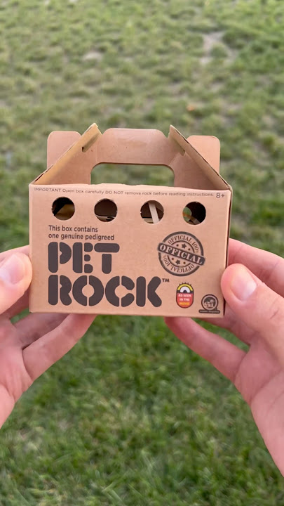 Are Pet Rocks A Scam?