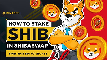 HOW TO STAKE SHIB IN SHIBASWAP from BINANCE to METAMASK and BURY SHIB IN SHIBASWAP FOR BONE COINS