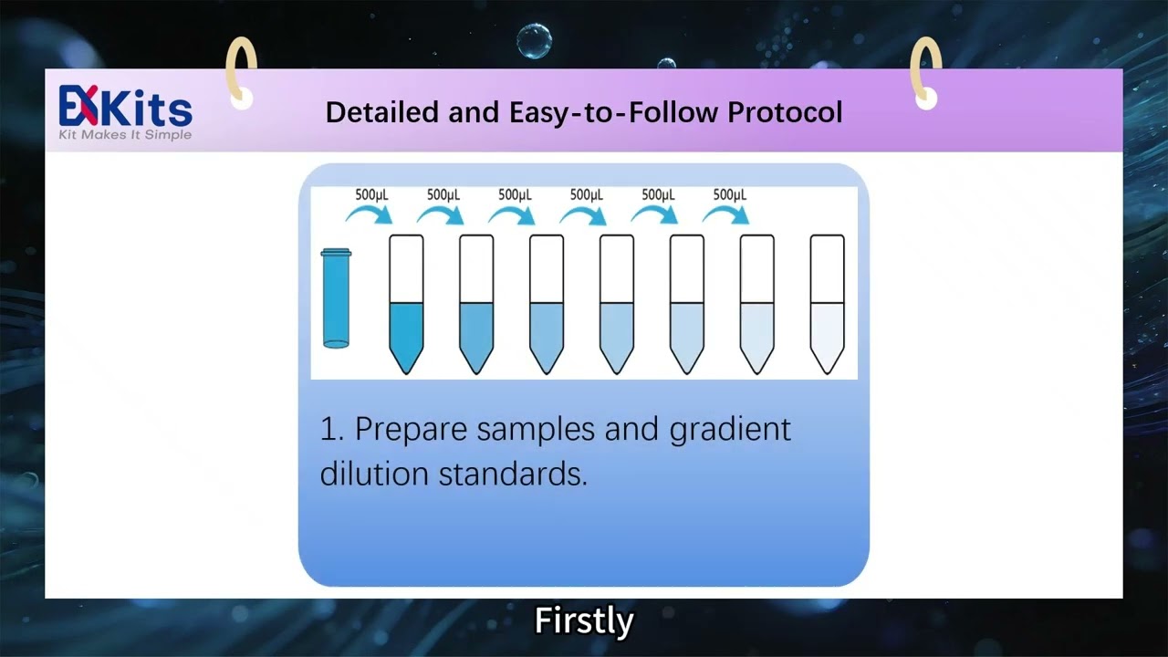 How to Detect Canine IgG? ExKits ELISA Kit Complete Operation Guide