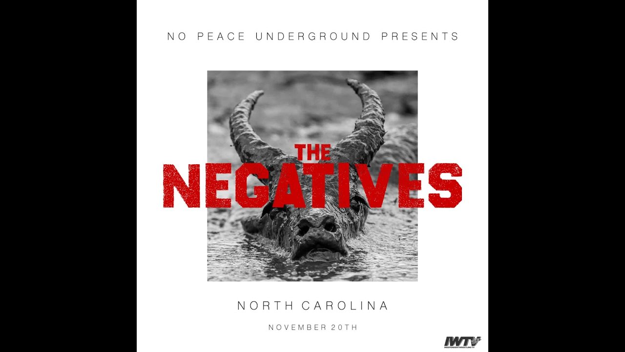 NO PEACE UNDERGROUND PRESENTS - THE NEGATIVES