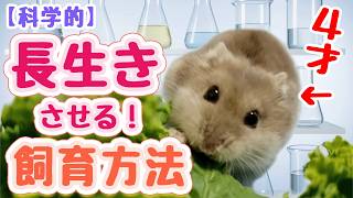 ハムスターを長寿にする飼育方法【科学的根拠に基づく】