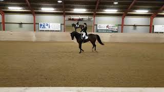 Intermediare 1 Dressur