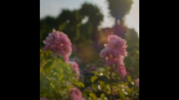 مقاطع قرانية قصيرة وبدون حقوق🥺❤️ | مقاطع قرانية مؤثرة | القارئ هزاع البلوشي | #quran #هزاع_البلوشي