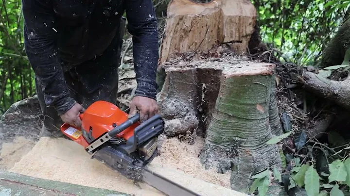 Fastest Big Chainsaw Cutting Tree Machines Skills, Incredible Homemade Wood Cutting Machines