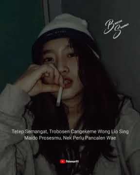 story wa | dancok we