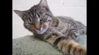 Meet Lovely Ruby! - ADOPTED
