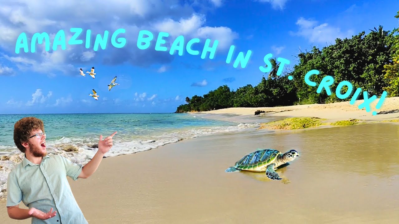 Amazing Beach in St. Croix, US Virgin Islands!