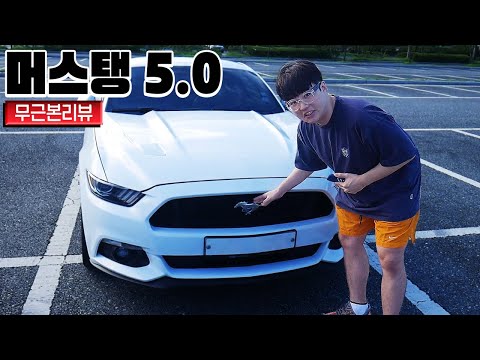 <strong>머스탱</strong> 5.0 &amp;quot;차알못&amp;quot; 일반인이 보는 무근본 리뷰 [사모장]