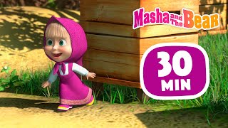 Masha and the Bear ?? Hide and seek is not for the weak ?? 30 min ⏰ Сartoon collection ?