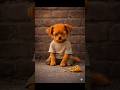 puppy have no money to buy samosa😭😭#cutedog #cute puppy #subscribe #like #puppyvideos #funnypuppy