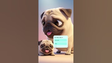 when are these pugs not cute 👀