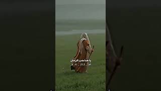 اشوف اهلي وناسي يا صاحب الزمان وما اشوفك مولاي😔💔،ستوريات مهدويه،#علاء_المهدوي،الامام المهدي🤍🖇