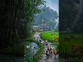 Rainy Village Life in 4K 🌧️ Ducks, Cows &amp; Nature Sounds Relaxing Scene