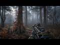 Heavy Rain Makes the Red Forest TERRIFYING STALKER Heavy Rain Makes the Red Forest TERRIFYING STALKER