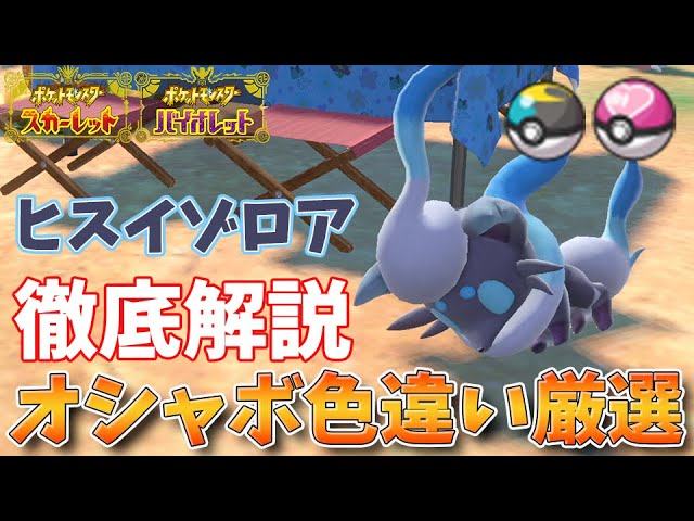 誰でもできる！ヒスイゾロア、オシャボ色違い厳選徹底解説！【ポケモン