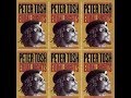 peter tosh you can't blam the youth
