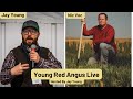 Young red angus with nic vos