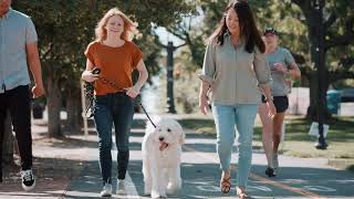 Herndon Apartments | Passport Apartments - Schedule a Tour Today