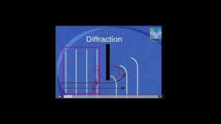 2D and 3D Waves Week 15 Revision