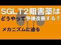 【SGLT2阻害薬】の予後改善メカニズム