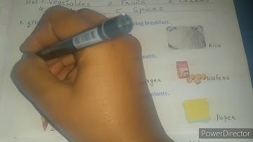 ECPS CLASS-1 SCIENCE CHAPTER 11 EXERCISES PART 3