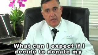 Egg Donation Donor Egg Program Jacksonville FL Dr. Shaykh