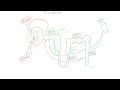 Diuretics Part I: Reduce Volume, Shift Fluid, Manipulate Electrolytes, Reduce Pressure