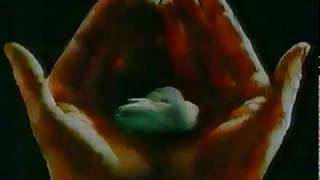 Правильная Реклама Недо-Rytp