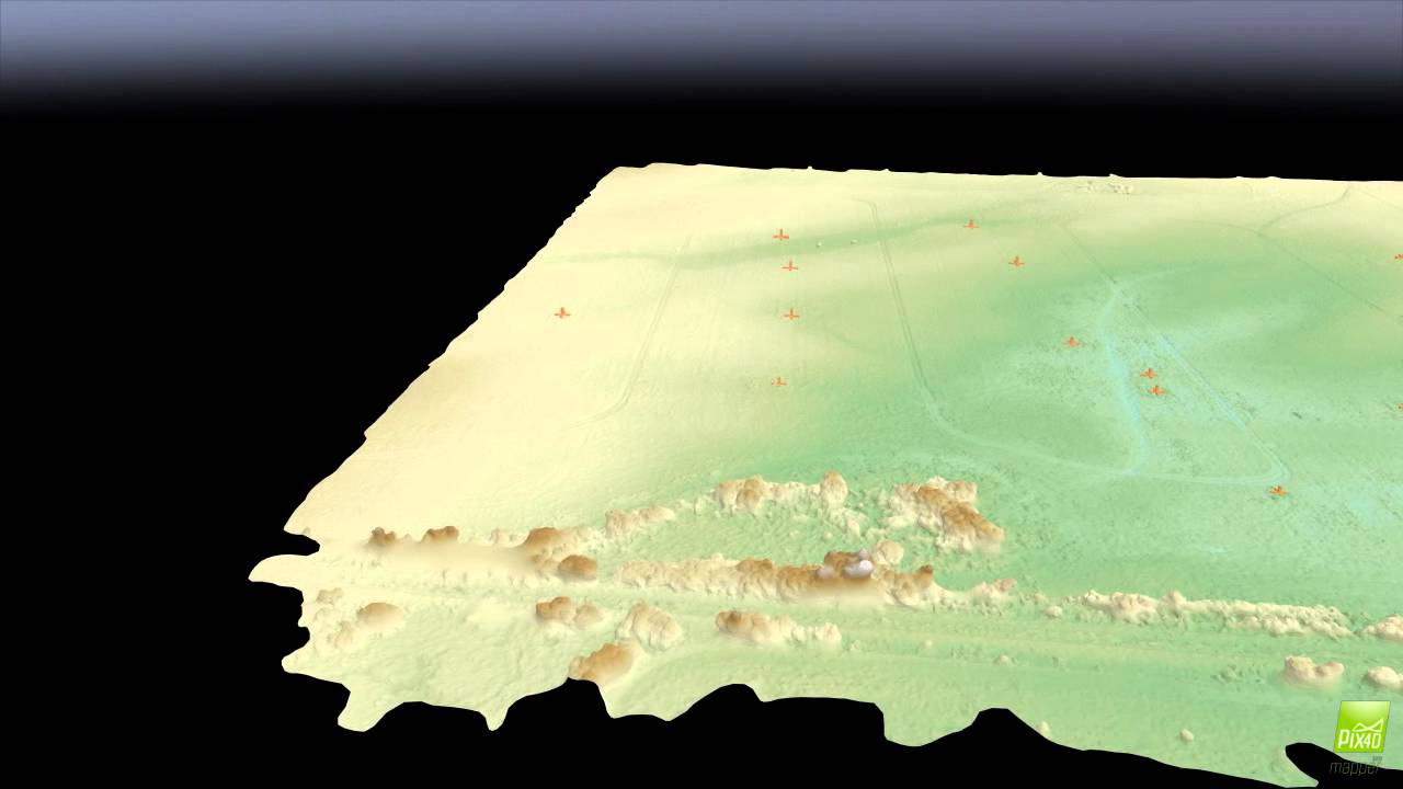 Canada Thistle Identification partial in Seed Alfalfa by Rohl Drones