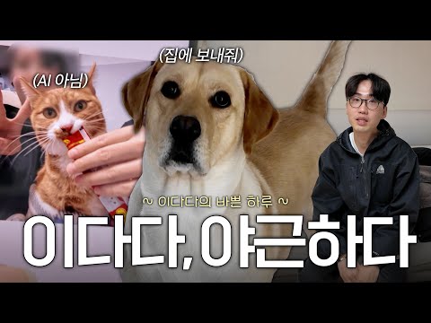 카라(KARA)의 킬링보이스를 라이브로! - Rock U, Pretty Girl, Honey, 미스터, 루팡, 점핑, Step, 맘마미아, WHEN I MOVE | 딩고뮤직