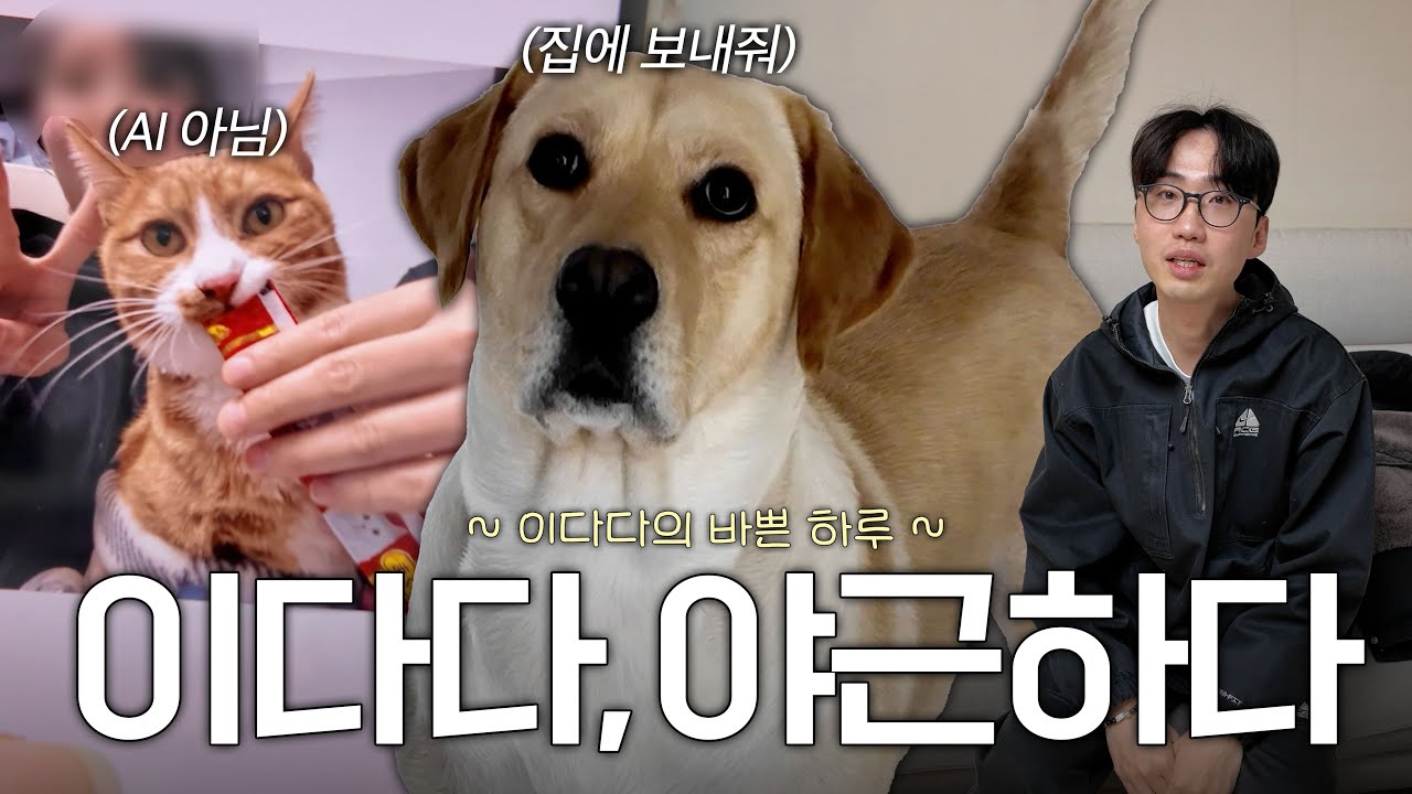 바쁜 이다다의 하루