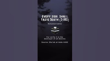 You Cannot Escape Death | Mohammad Hoblos