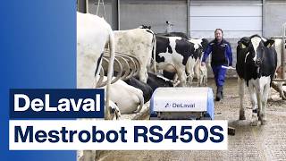 In Dronten Rijdt De Delaval Mestrobot Rs450S Fam. Van Schie-Burgmans, Nederland