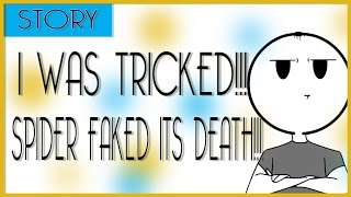 GrayComics: Story - THE SPIDER FAKED ITS OWN DEATH?!!