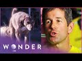 Rescue Dog Saves People Trapped Beneath Collapsed Building | Pet Heroes S1 EP19 | Wonder