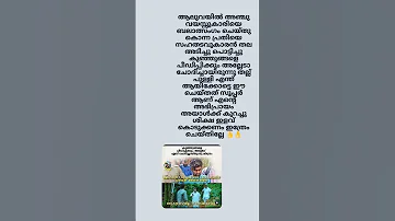 Music Song Musician Shortvideo 